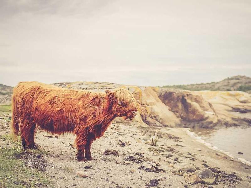 Metro Commercial Hub - Image 1