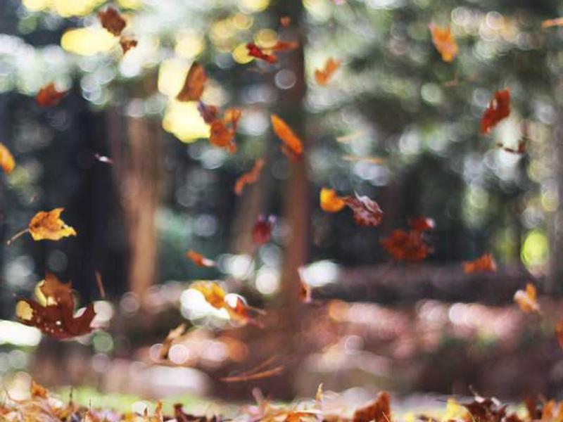 Metro Commercial Hub - Image 2